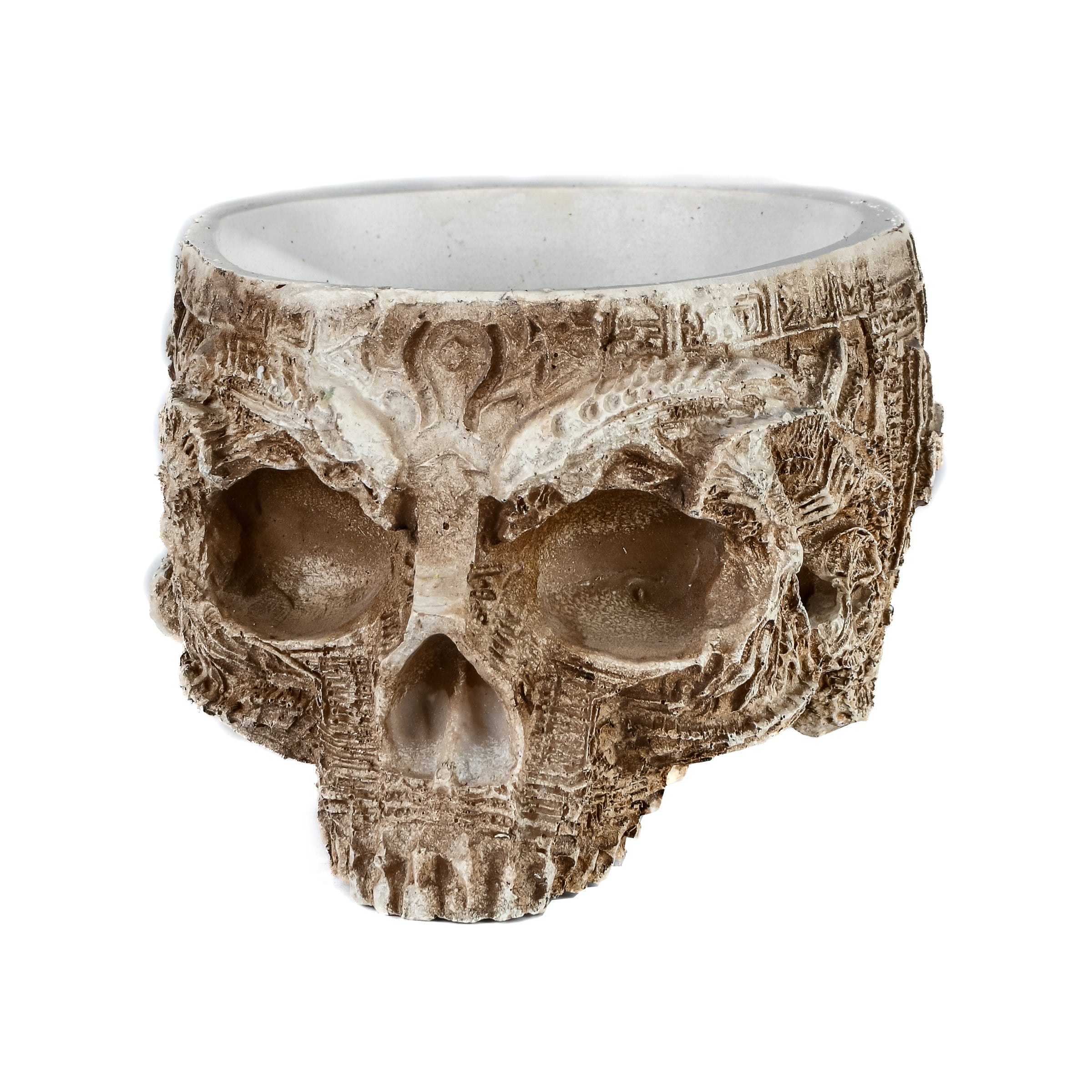 6 Inch Halloween Handcrafted Half Skull Flower Pot - Unique Gothic Planter for Spooky Home Decor, Halloween Party & Garden Display