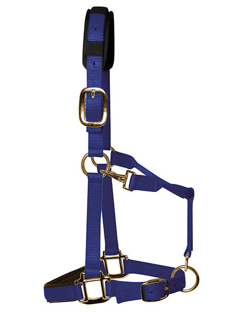 Soft Padded Headcollar for Horses - Comfortable & Adjustable Nylon Halter for Training, Grooming & Show - Perfect for Daily Use & Equestrian Activities