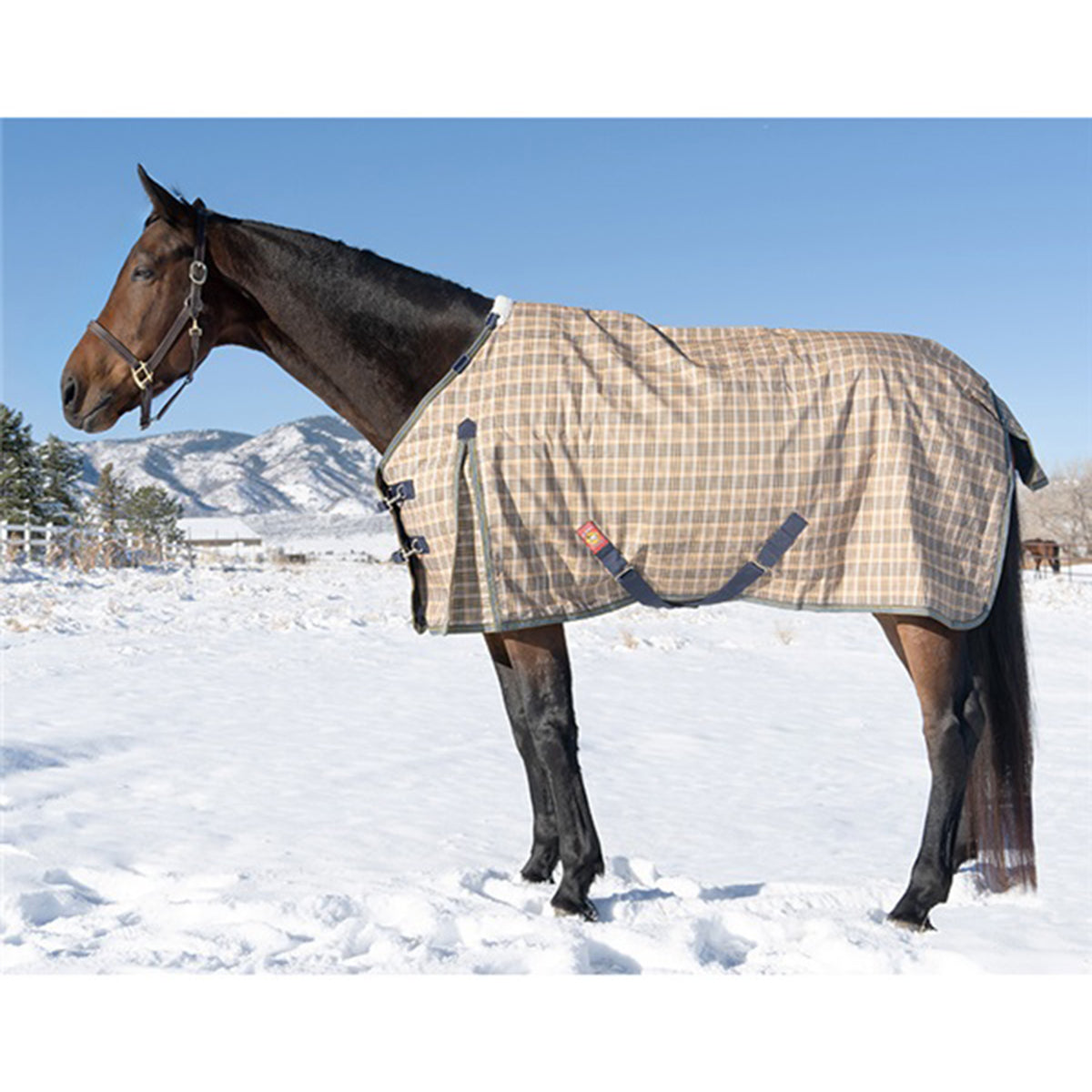 5/A Baker Medium Weight Turnout Blanket 200g - Waterproof Horse Blanket for Winter & Fall - Ideal for Stable, Pasture & Riding Protection