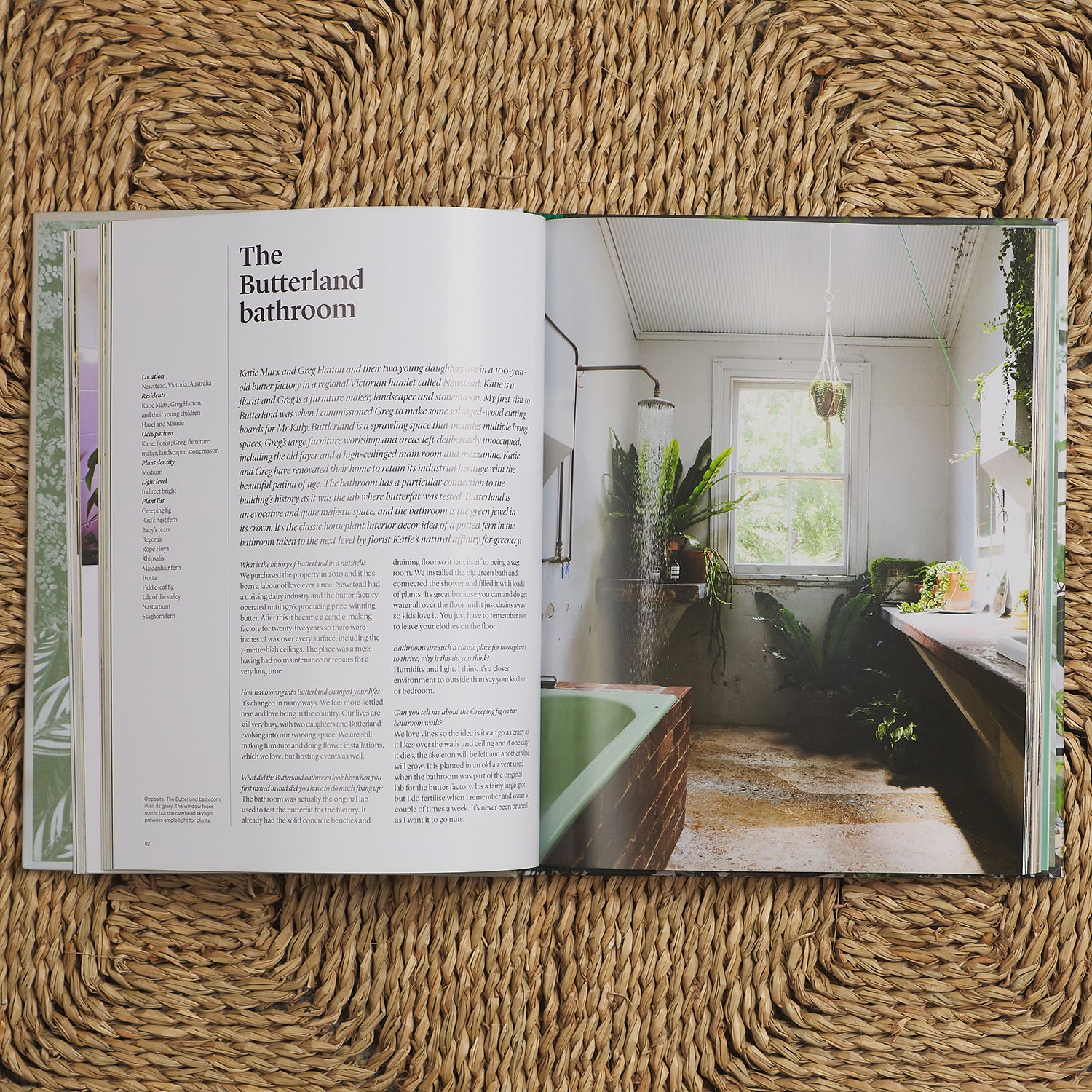 Indoor Green: Living with Plants - Best Houseplants for Home Decor, Air Purifying & Wellness | Perfect for Apartments, Offices & Living Spaces