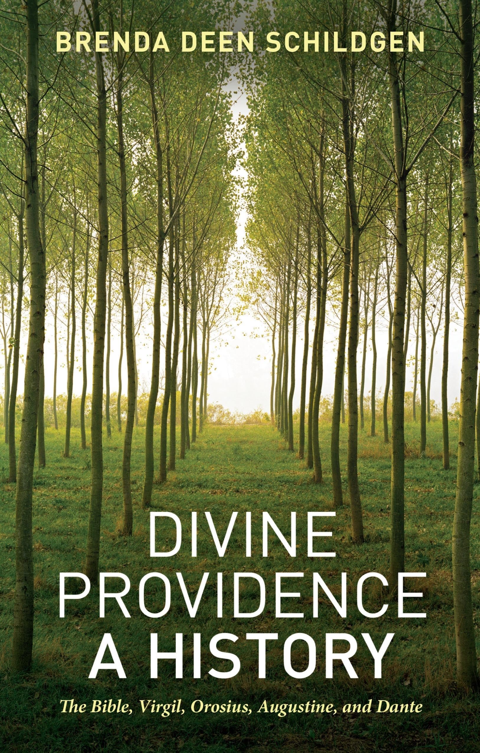 Divine Providence: A History of Biblical and Classical Influences from Virgil to Dante | Christian Theology & Literature Study | Perfect for Bible Study Groups and Academic Research