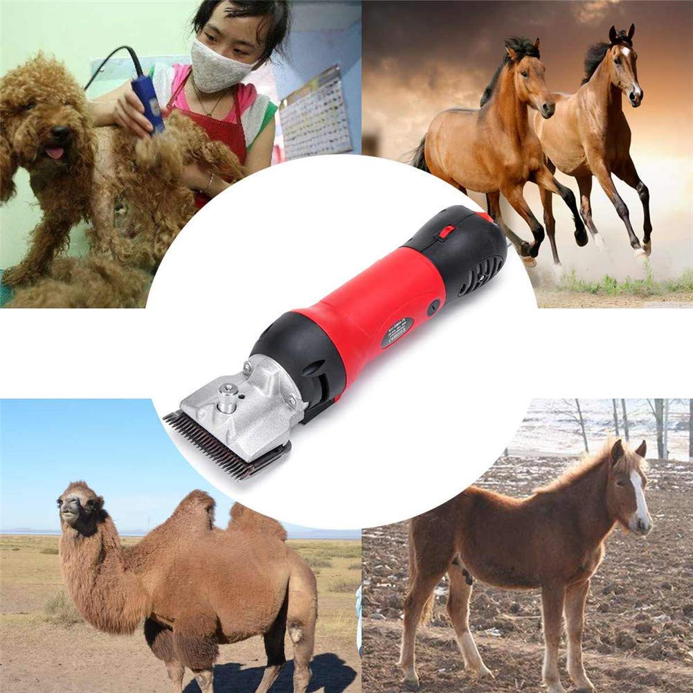 Professional 450W Heavy Duty Electric Horse Hair Clipper - 6 Speed Adjustable Low Vibration Pet Grooming Trimmer for Horses, Dogs & Livestock | Portable Equine Shears for Home, Farm & Show Grooming