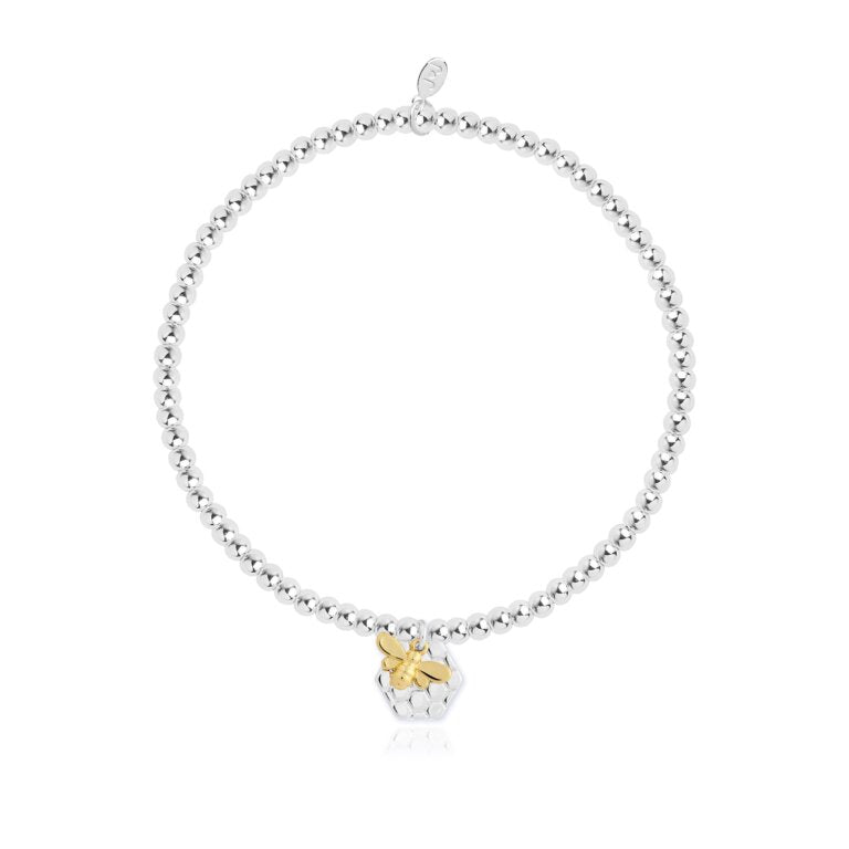 Joma Jewellery Bee's Knees Charm Bracelet - Elegant & Unique Gift for Women - Perfect for Birthdays, Anniversaries & Everyday Wear
