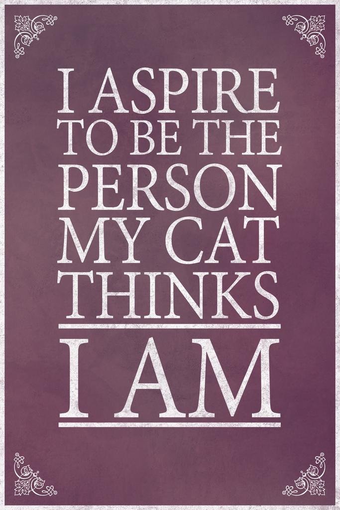 Funny Motivational Cat Poster - 'I Aspire to Be the Person My Cat Thinks I Am' - Laminated 12x18 Inch Purple Wall Art for Home & Office Decor - Perfect Gift for Cat Lovers