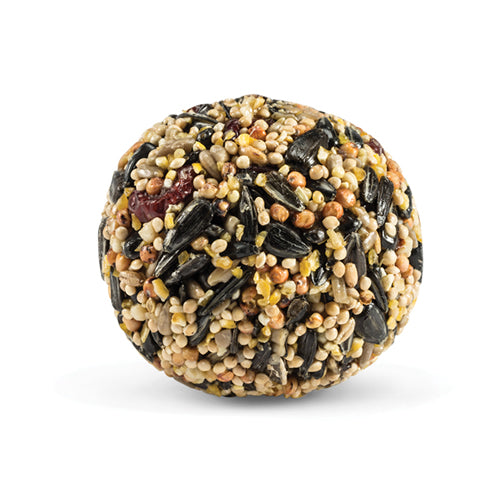 Duncraft Very Berry Wild Bird Seed Balls - Premium Nutritious Bird Food for Wild Birds - Attract Cardinals, Bluebirds & Finches - Perfect for Backyard Bird Feeders, Gardens & Outdoor Bird Watching