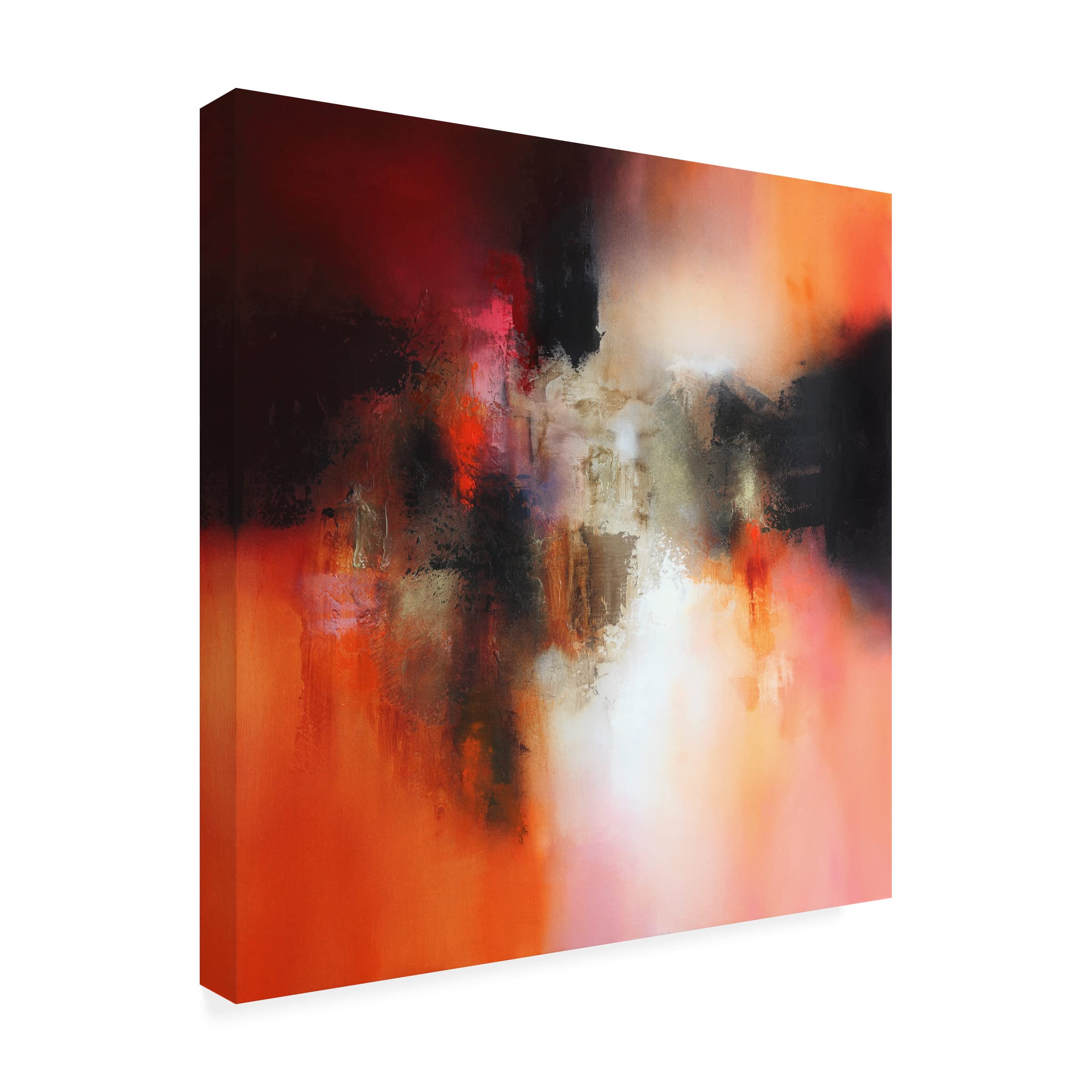 Trademark Fine Art 'Endless' Canvas Art by Eelco Maan - Stunning Abstract Wall Decor for Living Room, Bedroom & Office