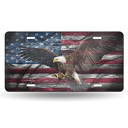 Bald Eagle American Flag