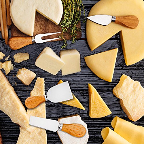 Premium 4-Piece Stainless Steel Cheese Knife Set - Cheese Knife, Fork, Slicer & Butter Knife - Perfect for Charcuterie Boards, Wine Pairings & Cheese Tasting Parties - Elegant Cheese Tools for Entertaining & Gourmet Food Presentation
