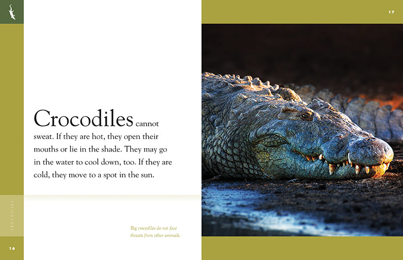 Crocodiles Book 9781640262011 - Wildlife Education & Nature Exploration for Kids & Adults - Perfect for School Projects & Animal Lovers