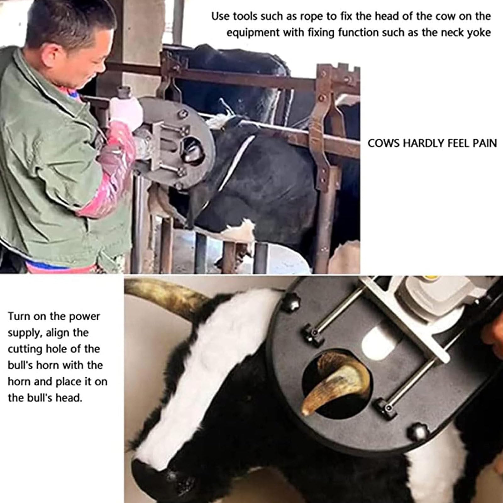 1900W Electric Cattle Dehorner - Bloodless Horn Remover for Adult Cows & Bulls - Heavy Duty Livestock Dehorning Tool for Cattle, Sheep & Goats - Perfect for Farm, Ranch & Veterinary Use