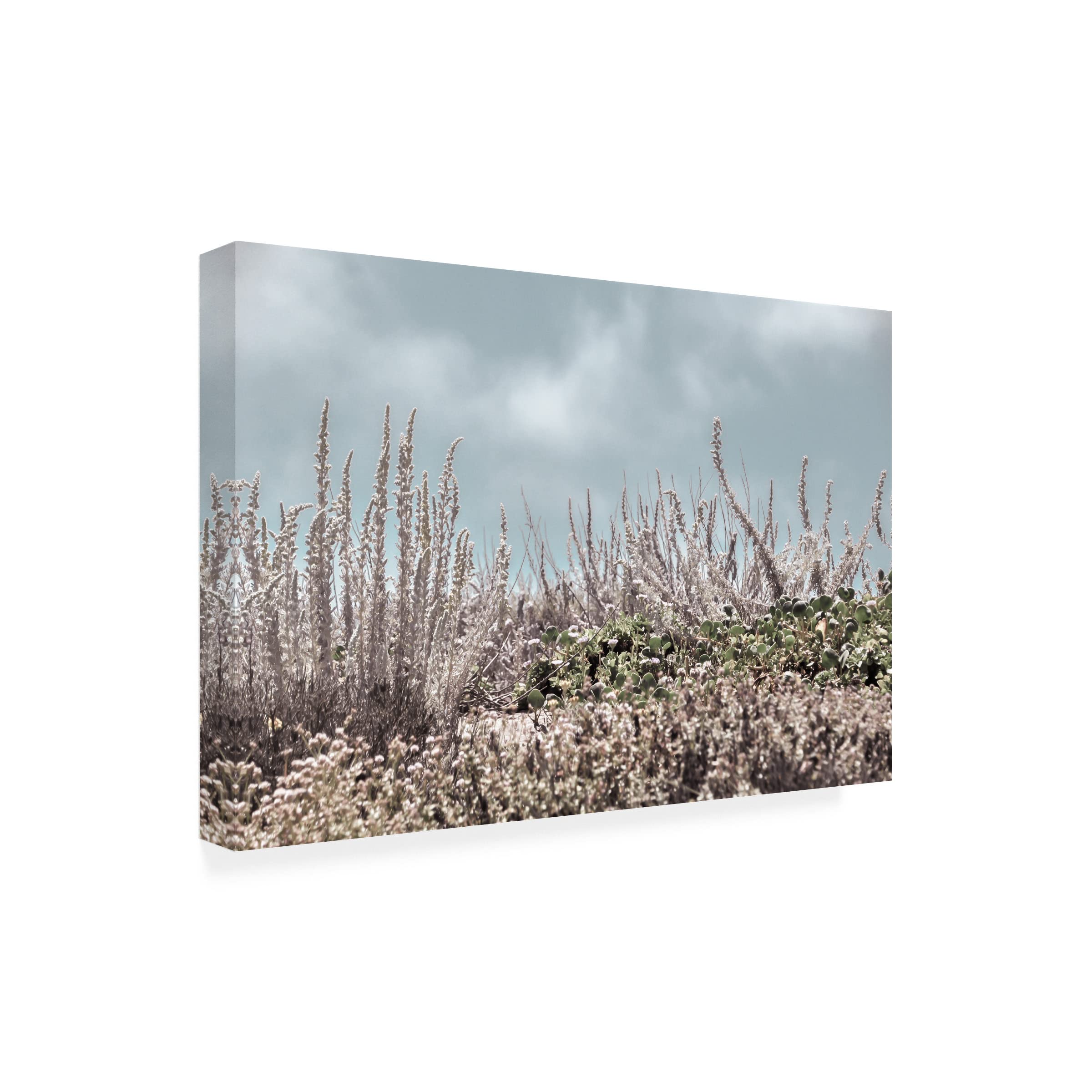 Blue Palomino 'Beach Sage In Silver' Canvas Wall Art Print - Coastal Home Decor for Living Room, Bedroom & Office