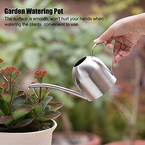 Premium Stainless Steel Watering Can for Indoor Plants - 500ML Modern Design with Long Spout - Perfect for Houseplants, Gardens, and Home Decor