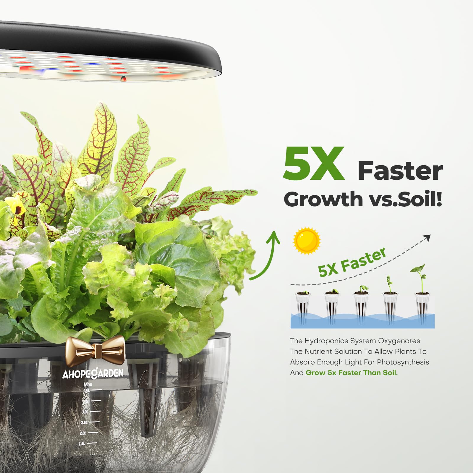 Ahopegarden 12-Pod Indoor Hydroponic Growing System with LED Grow Light - Countertop Herb Garden Kit for Vegetables, Lettuce & Plants | Perfect for Home Gardening, Kitchen Herb Cultivation & Year-Round Fresh Harvests