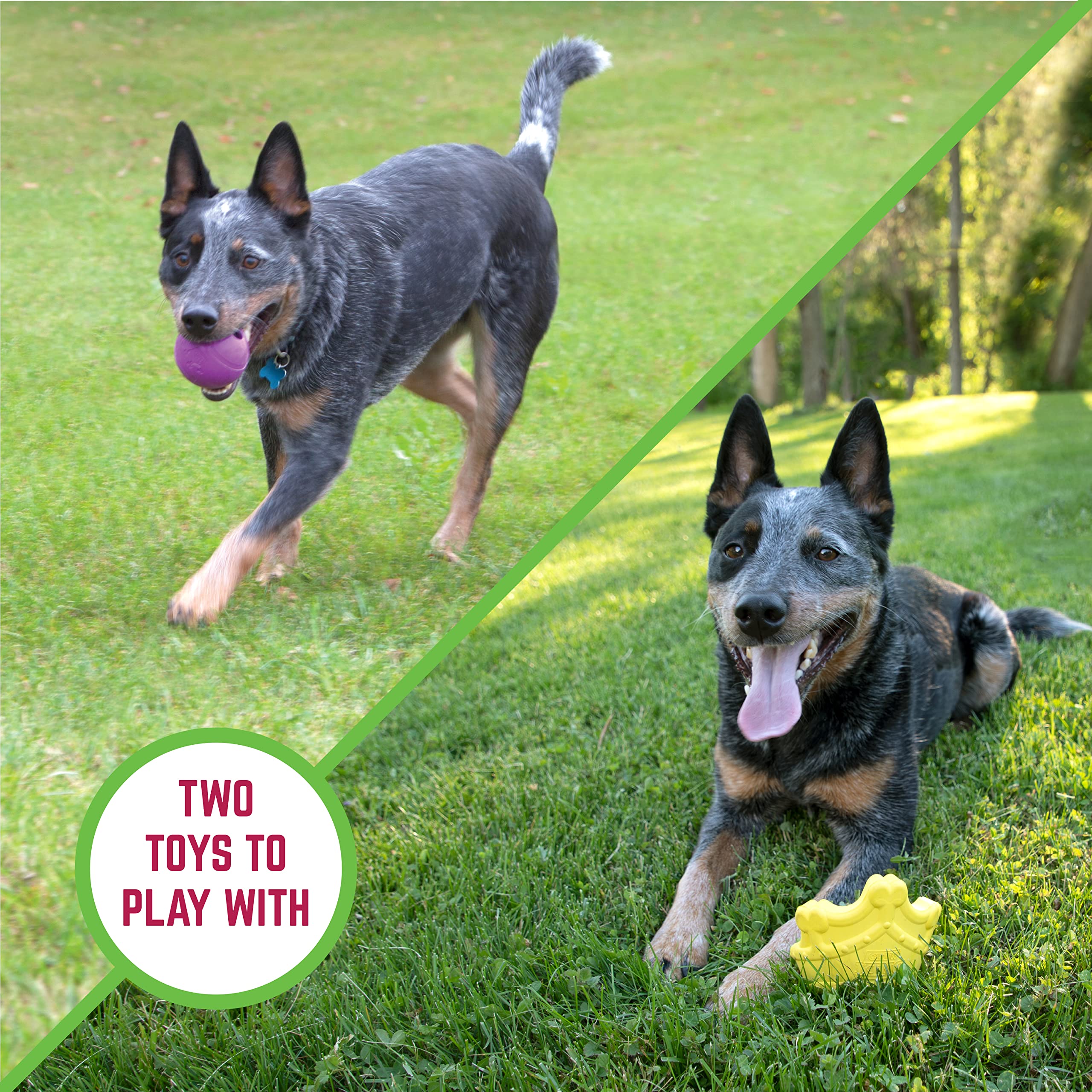 Durable Crown Chew Toy & Ball for Dogs – Interactive Pet Chewing Toy for Puppies & Adult Dogs – Perfect for Teething, Playtime & Training