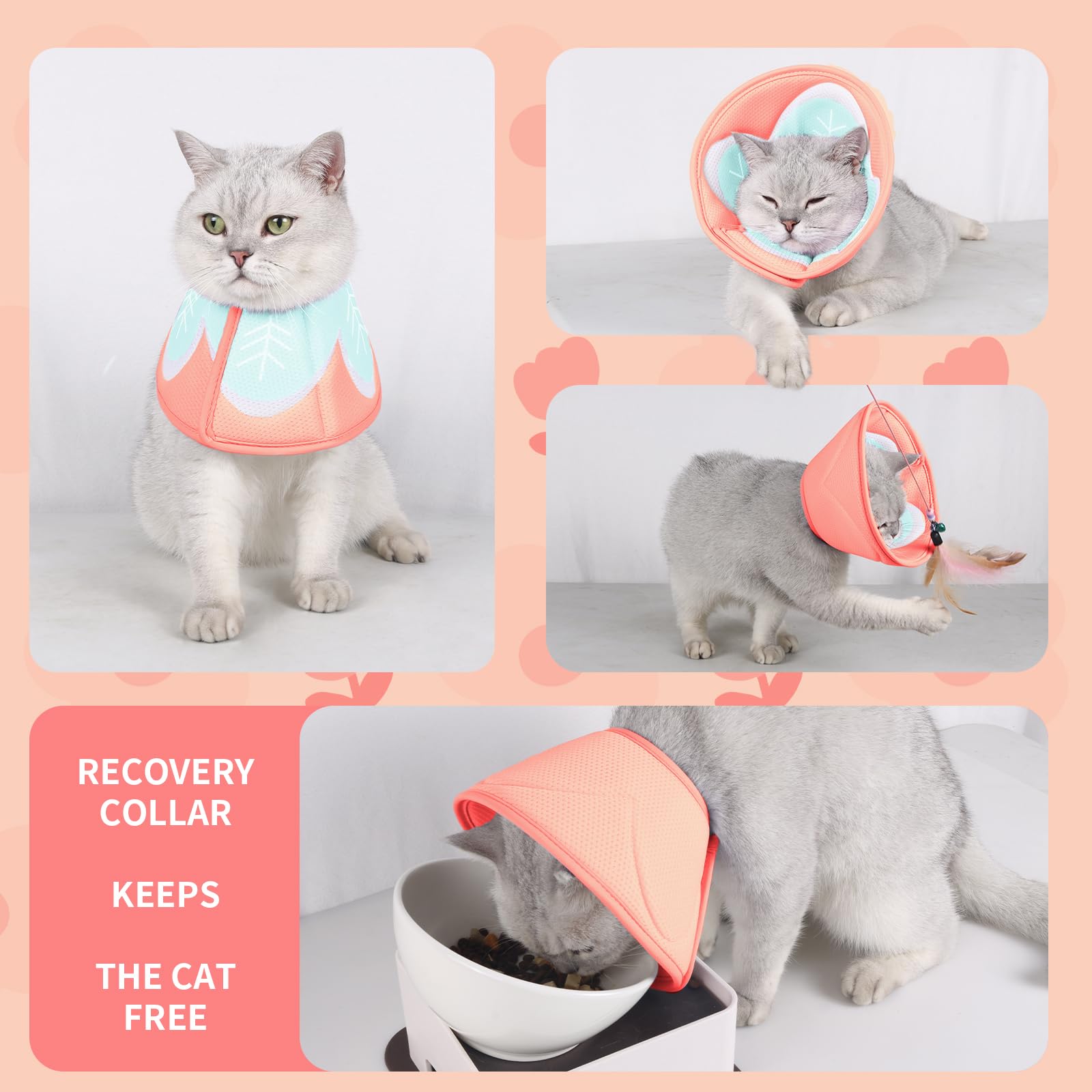 Soft Adjustable Cat Cone Collar for Kittens - Pink Small Pet Recovery Collar | Post-Surgery E-Collar for Wound Protection & Healing | Perfect for Spay/Neuter Recovery & Skin Treatment