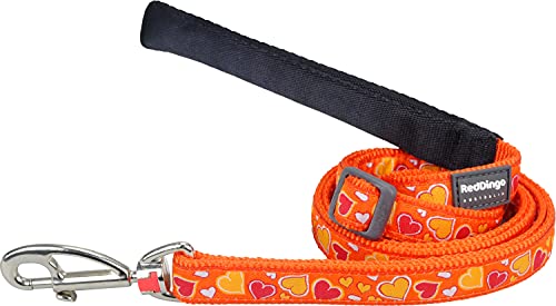 Breezy Love Orange