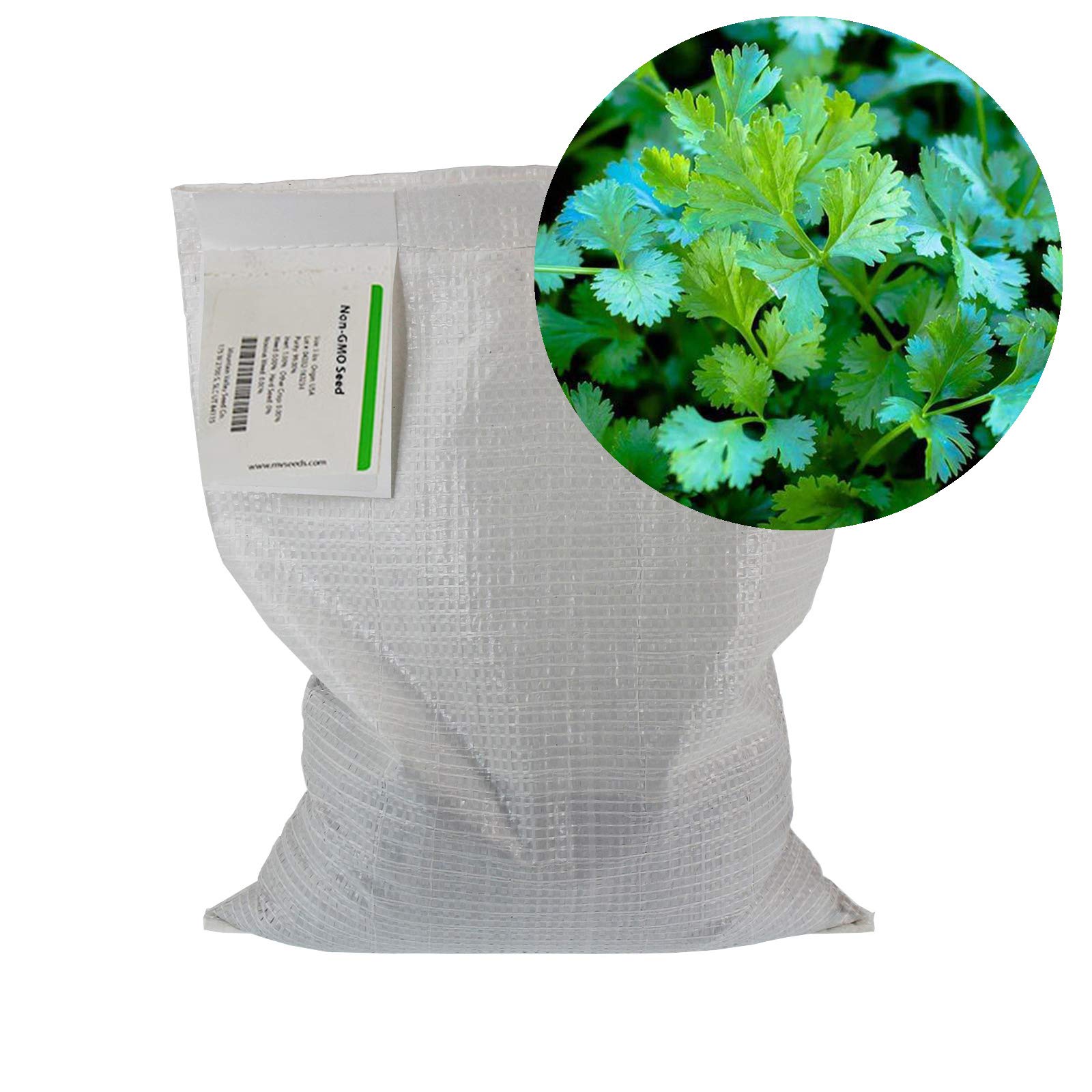Organic Slow Bolt Cilantro Herb Seeds - 5 Lb (~200,000 Seeds) Non-GMO Heirloom Coriander for Outdoor & Indoor Gardening, Microgreens Kit - Perfect for Home Garden, Countertop Planting, and Fresh Organic Cooking