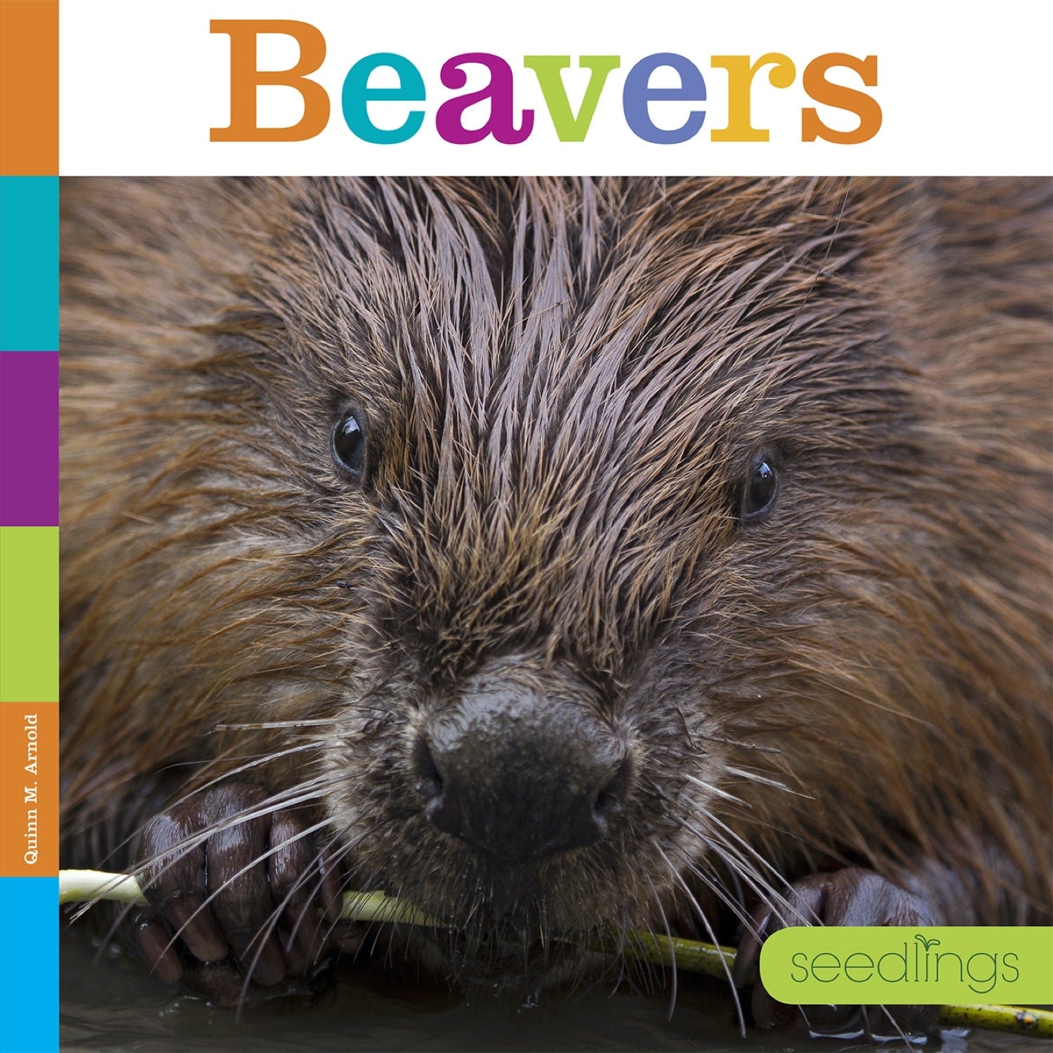 Beavers: 9781608188659 - Nature Books for Kids, Wildlife Education & Animal Lovers - Perfect for Classroom Learning & Homeschooling