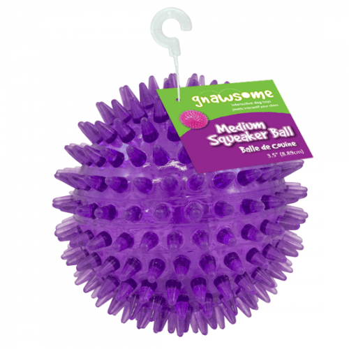 Gnawsome Medium Squeaker Ball for Dogs - Durable Chew Toy with Loud Squeaker for Interactive Play, Fetch & Training - Perfect for Small to Medium Breeds (Blue) - Indoor & Outdoor Use