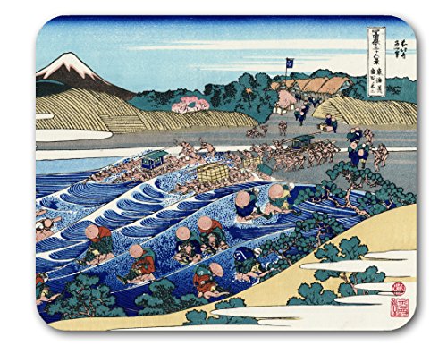 Mt. Fuji from Kayana