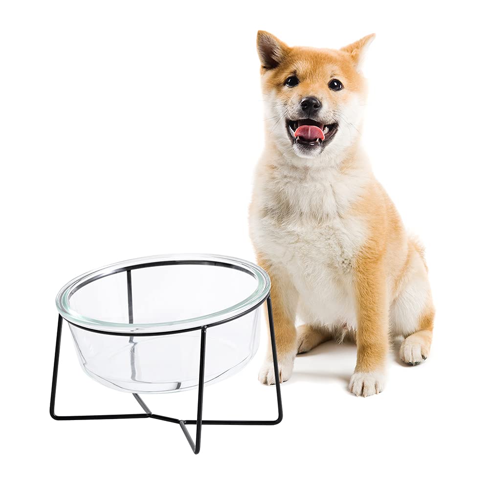Raised Angled Pet Bowl with Stand - 1000ml Glass Dog & Cat Food Water Dish - Medium Large Elevated Feeder for Comfortable Eating - Perfect for Home, Travel, and Outdoor Use