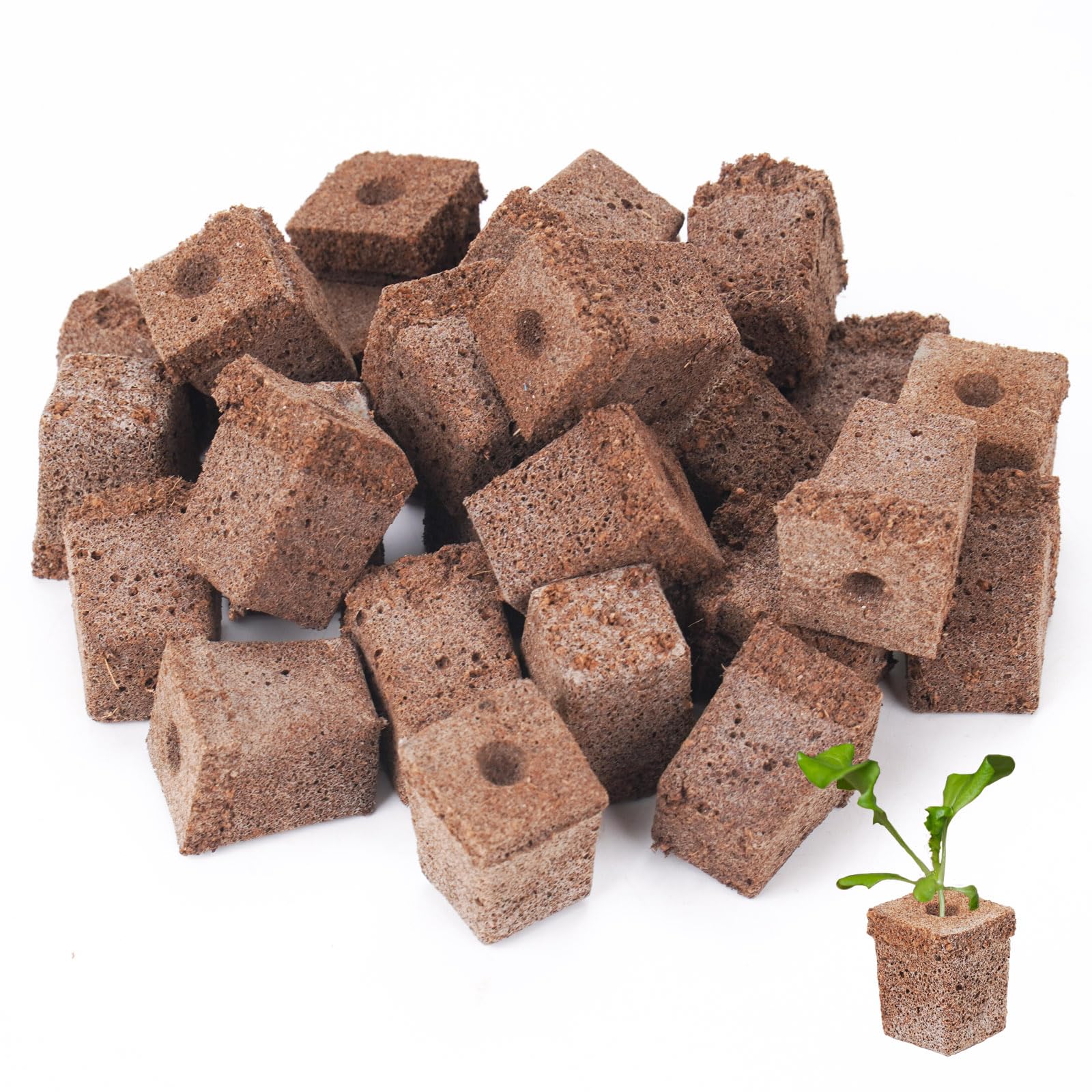 100 Pack Hydroponic Grow Sponges - Seed Starter Sponges for Indoor Gardening, Replacement Root Growth Sponges & Seed Pods Kit | Perfect for Hydroponic Systems, Aeroponics, and Home Herb Gardens