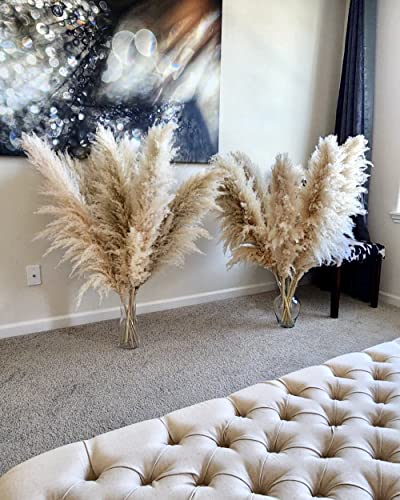 Premium Extra Large Dried Pampas Grass 3ft or 4ft - Natural Boho Home Decor | Wedding Centerpiece & Floral Arrangement | Perfect for Living Room, Bedroom, and Wedding Venue Decoration
