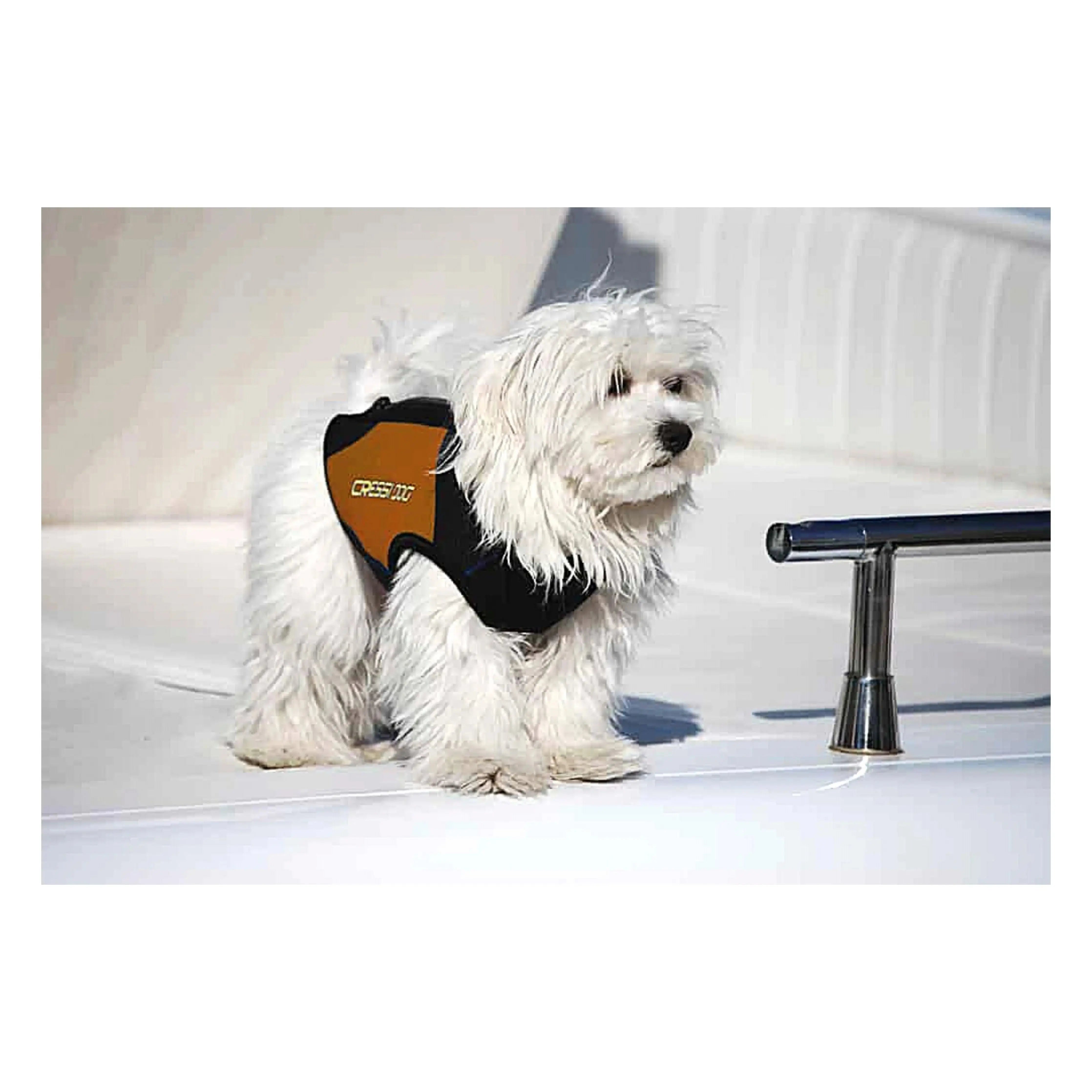 CRESSI Small Dog Wetsuit for Swimming & Water Sports - Neoprene Pet Wetsuit for Beach, Pool & Outdoor Adventures