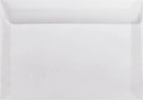 LUXPaper 6 x 9 Booklet Envelopes - Clear Translucent Mailing Sleeves, 30lb Text Weight, Pack of 250 | Perfect for Invitations, Brochures, Documents & Business Mailings