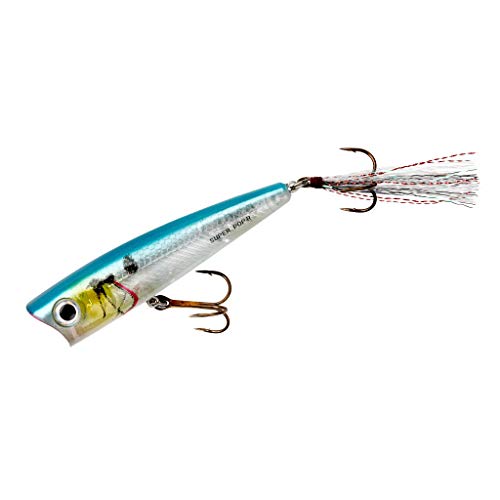 Blue Darter