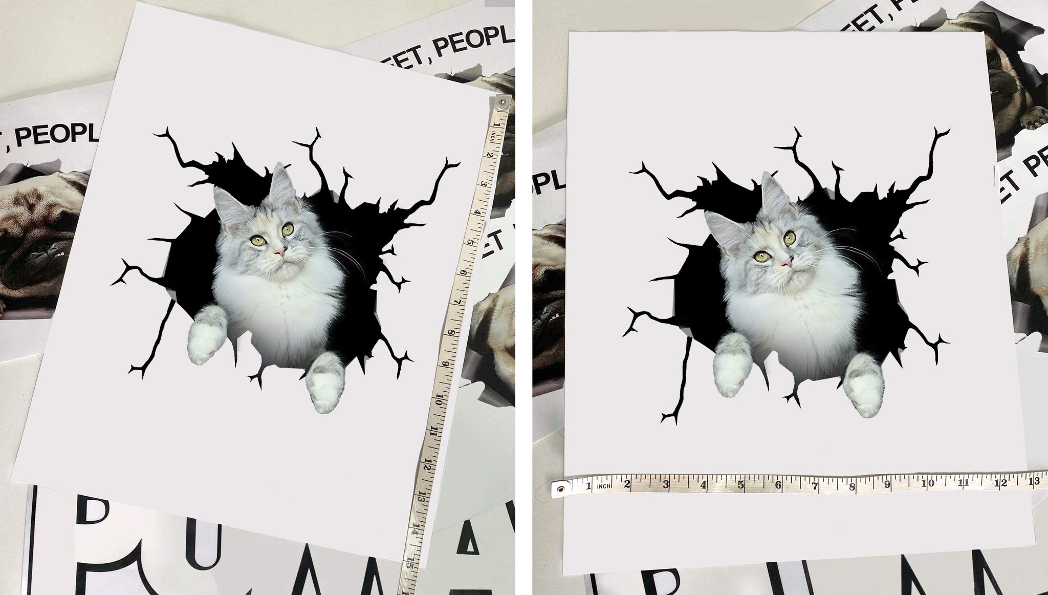 Maine Coon Cat Car Decals - Pack of 2 Large 12
