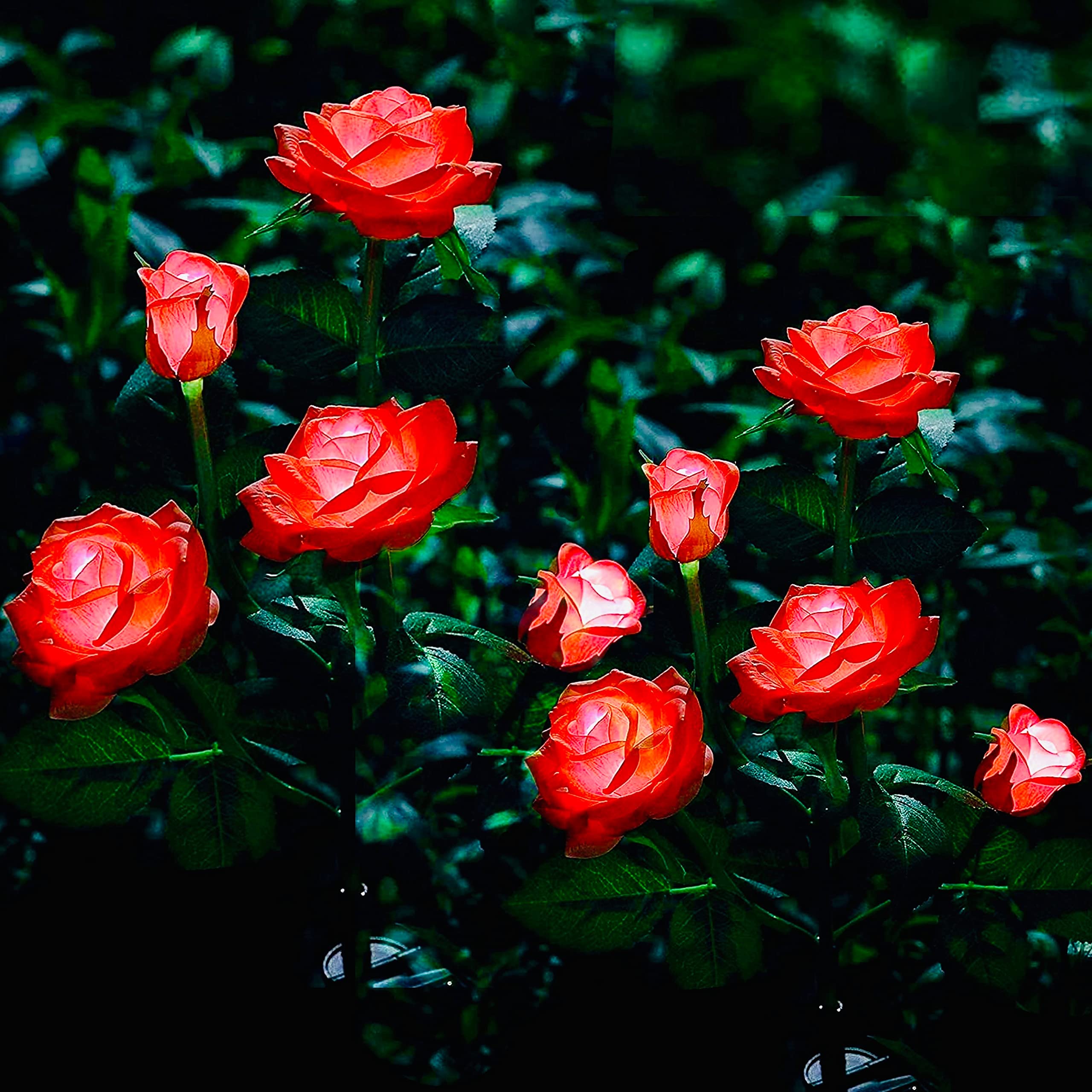 FELISHINE Solar Powered LED Rose Lights - 2 Pack with 10 Realistic Roses, Waterproof Outdoor Solar Garden Lights for Patio, Pathway, Courtyard, Lawn Decor (Red) | Perfect for Romantic Nights, Wedding Decor & Landscape Lighting