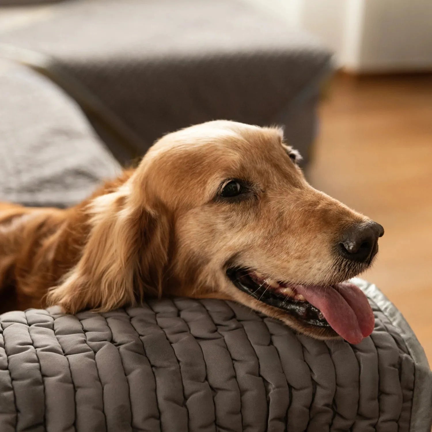 Waterproof Dog Blanket Armchair Cover - Soft Pet Bed Protector for Furniture, Washable & Non-Slip - Perfect for Sofas, Couches, and Recliners
