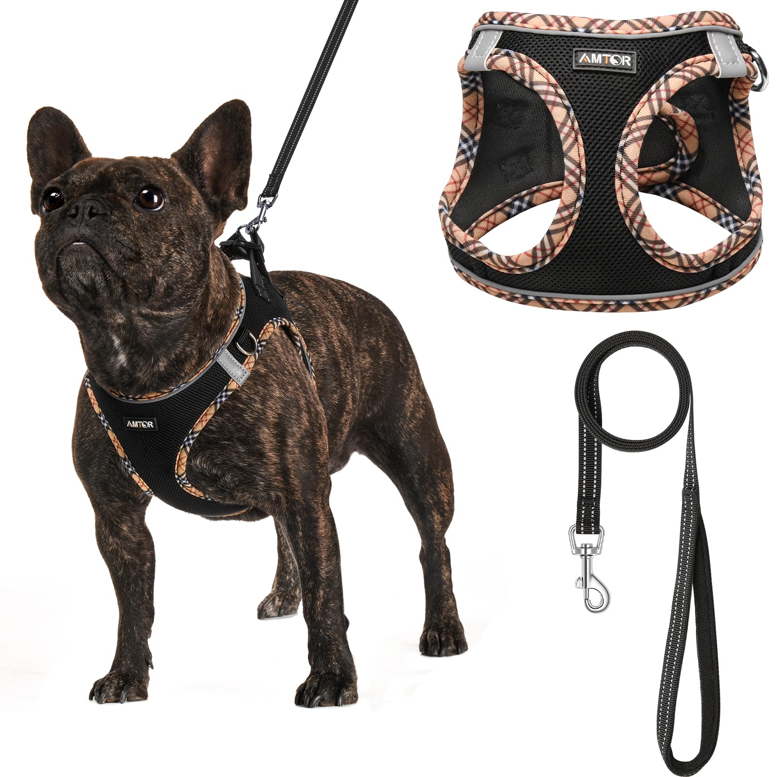AMTOR No-Pull Small Dog Harness with Leash Set - Escape-Proof Step-in Reflective Vest for XS/S/M/L Dogs - Perfect for Training, Walking & Night Safety (Black & Yellow, XXXS) - Ideal for Puppy Training, Daily Walks & Outdoor Adventures