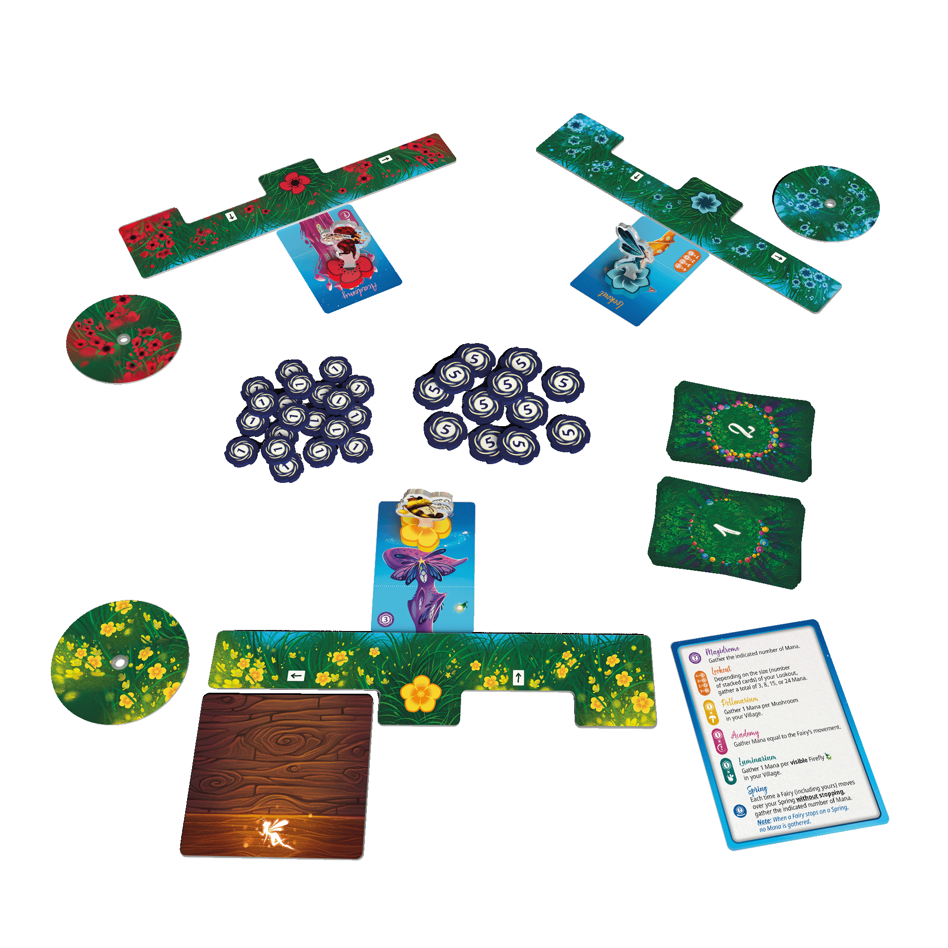 Fairy Ring Mushroom Kit - Grow Your Own Magical Mushrooms at Home | Perfect for Garden Decor, DIY Projects & Organic Gardening