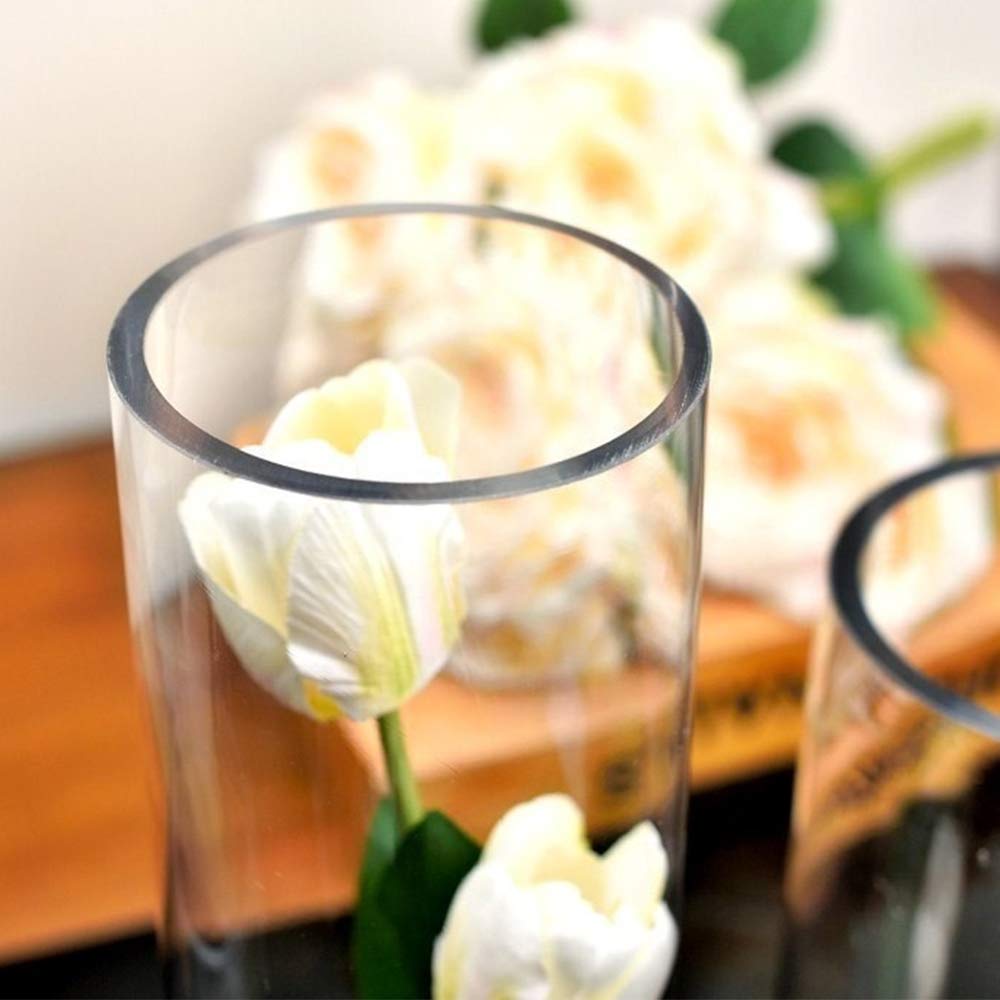 Premium Clear Cylinder Glass Vases - 3