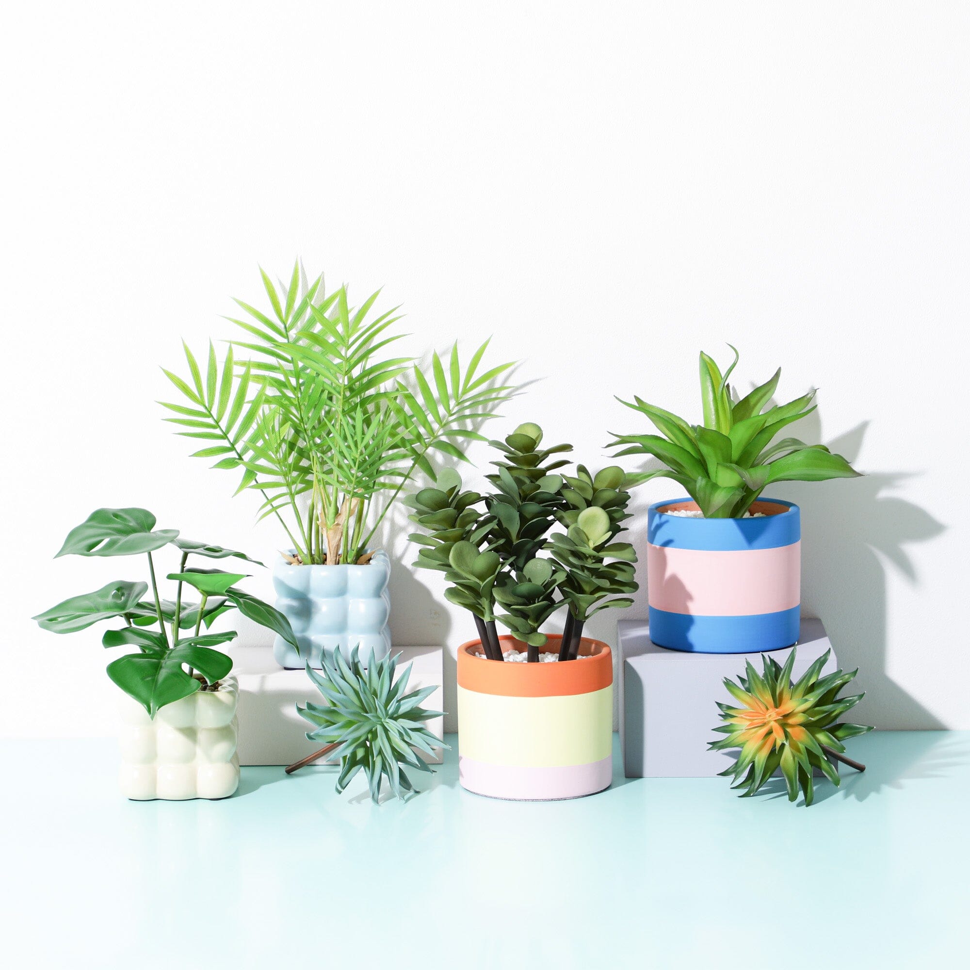 Art Green & Pot Succulents - Beautiful Live Succulent Plants for Home Decor, Office Desk, and Garden - Perfect for Indoor and Outdoor Planting