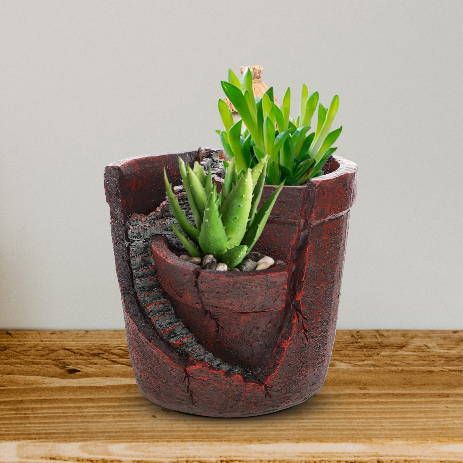 Creative Succulent Planter & Bonsai Flower Pot - Decorative Gardening Container for Indoor Plants, Home Decor, and Landscaping | Perfect for Succulents, Cacti, and Small Houseplants