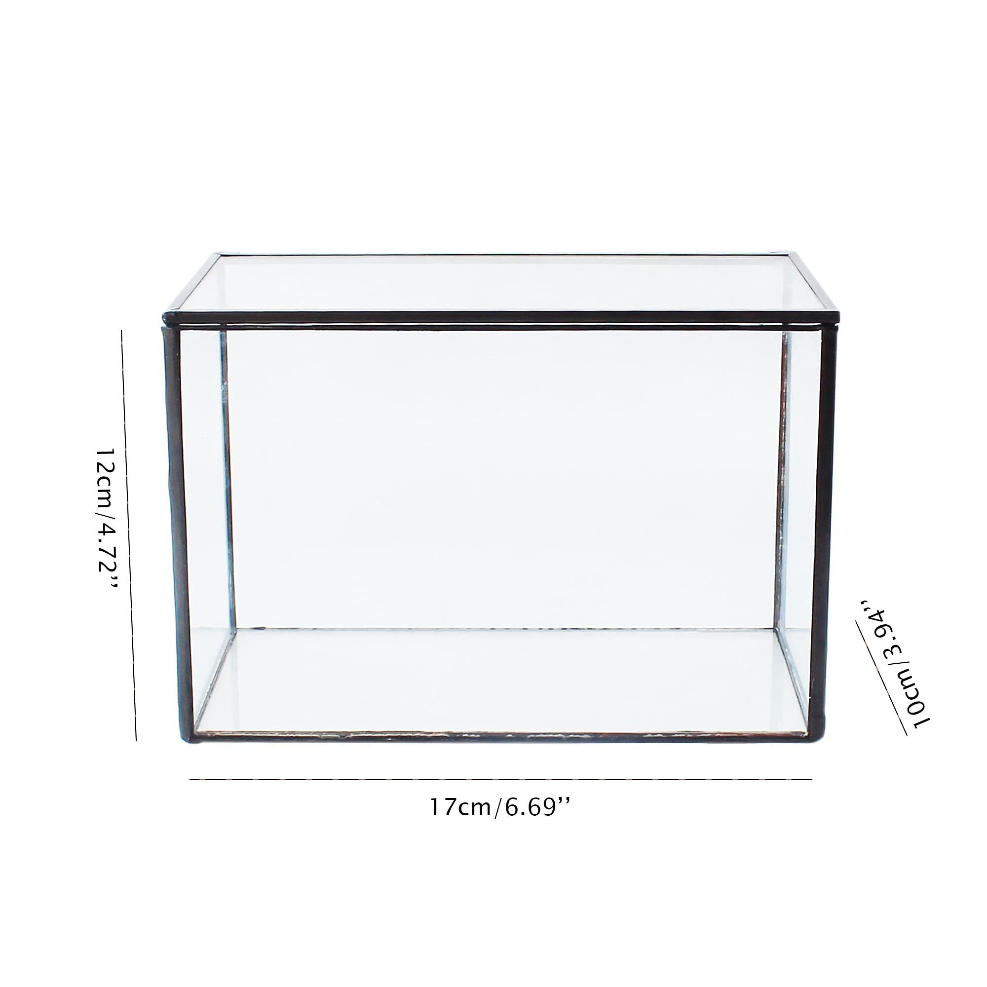 Black Glass Geometric Terrarium with Lid - 6.7