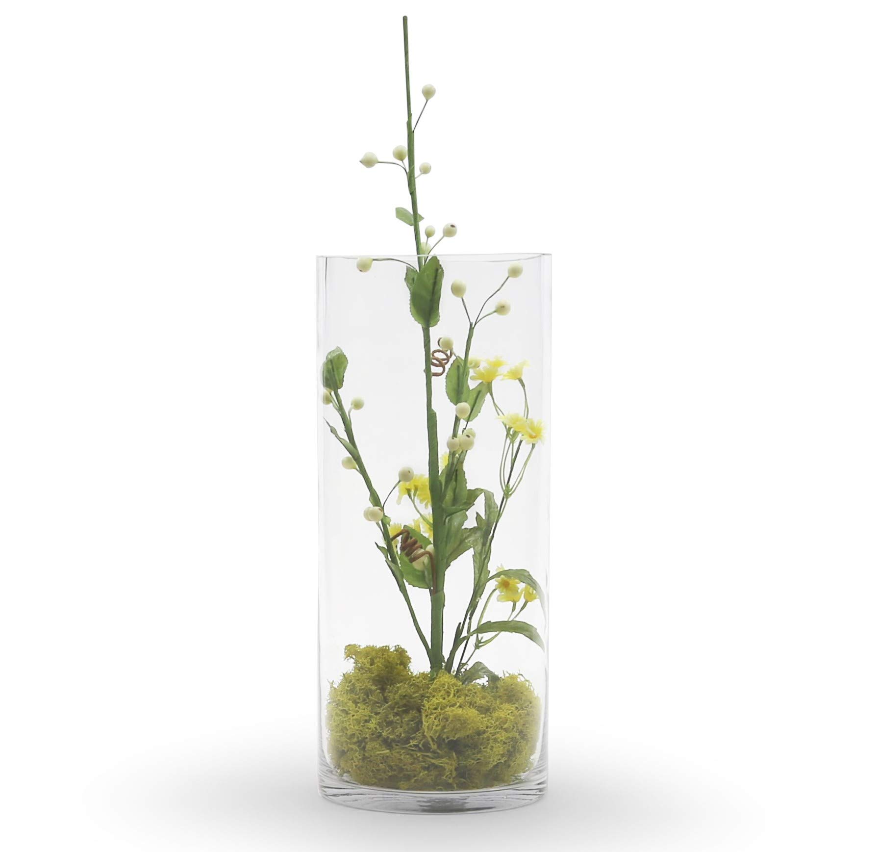 WGV Clear Glass Cylinder Vase Bulk Set - 6