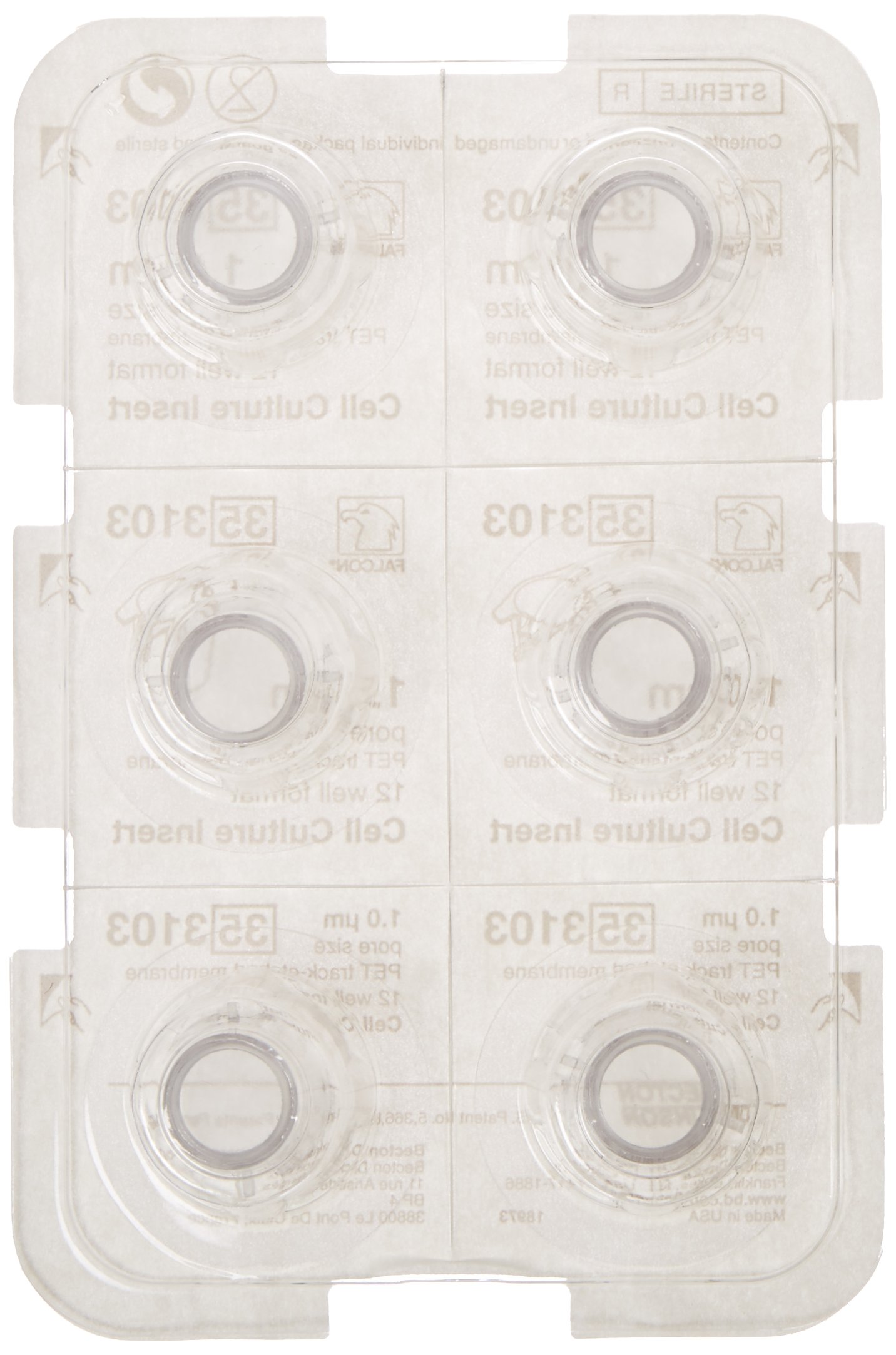 BD 353102 Falcon Translucent PET Cell Culture Insert - 1.5-2.5mL Volume, 1.0 Micron Pore Size, Fits 6 Well Plates (Pack of 48) - Ideal for Cell Migration, Co-Culture & Drug Permeability Studies in Laboratories