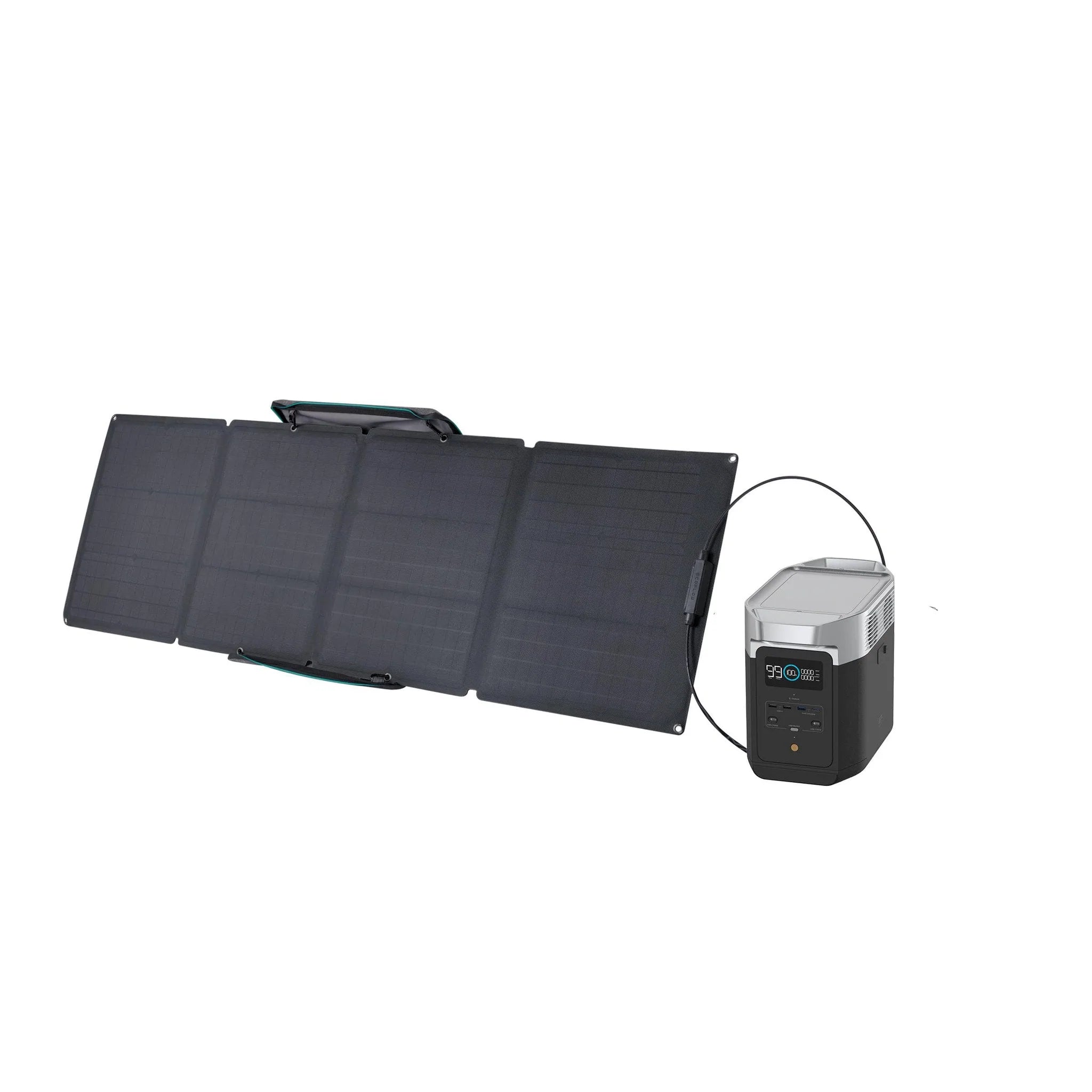 EcoFlow DELTA 2 Portable Power Station with 110W Solar Panel - Solar Generator for Camping, RV, Emergency Backup & Off-Grid Power