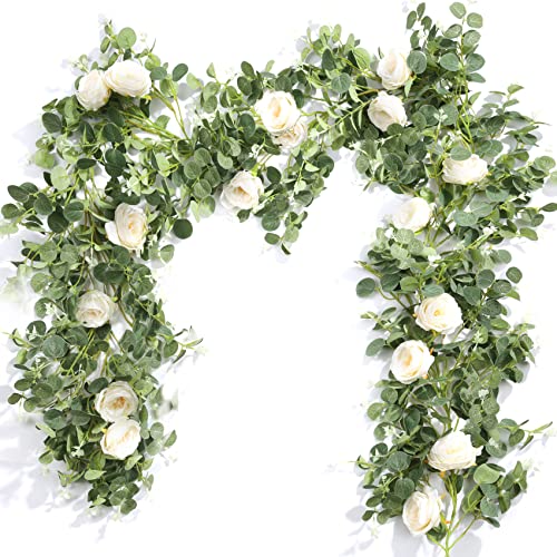 Champagne 4pcs