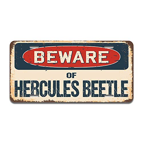 Beware of Hercules Beetle