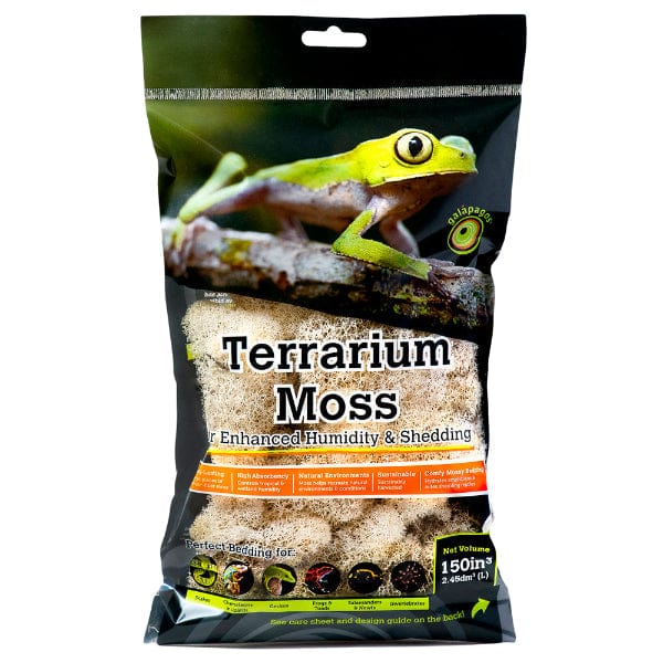 Galápagos Reindeer Moss - Natural Decorative Moss for Terrariums, Fairy Gardens & Home Decor | Air Plant & Succulent Accent