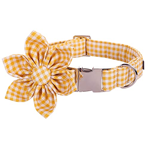 Yellow&White Grid