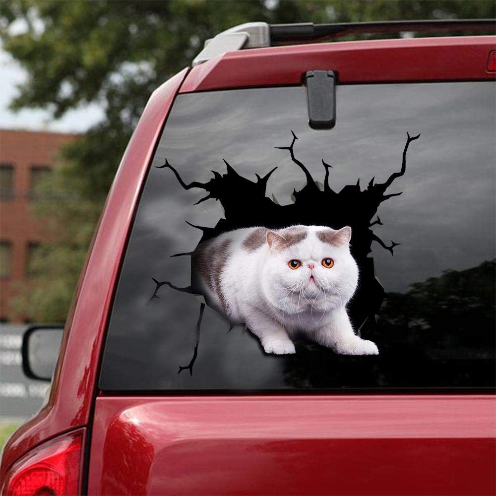 British Shorthair Cat Car Decals - Pack of 2 Waterproof Vinyl Stickers for Windows & Walls (8