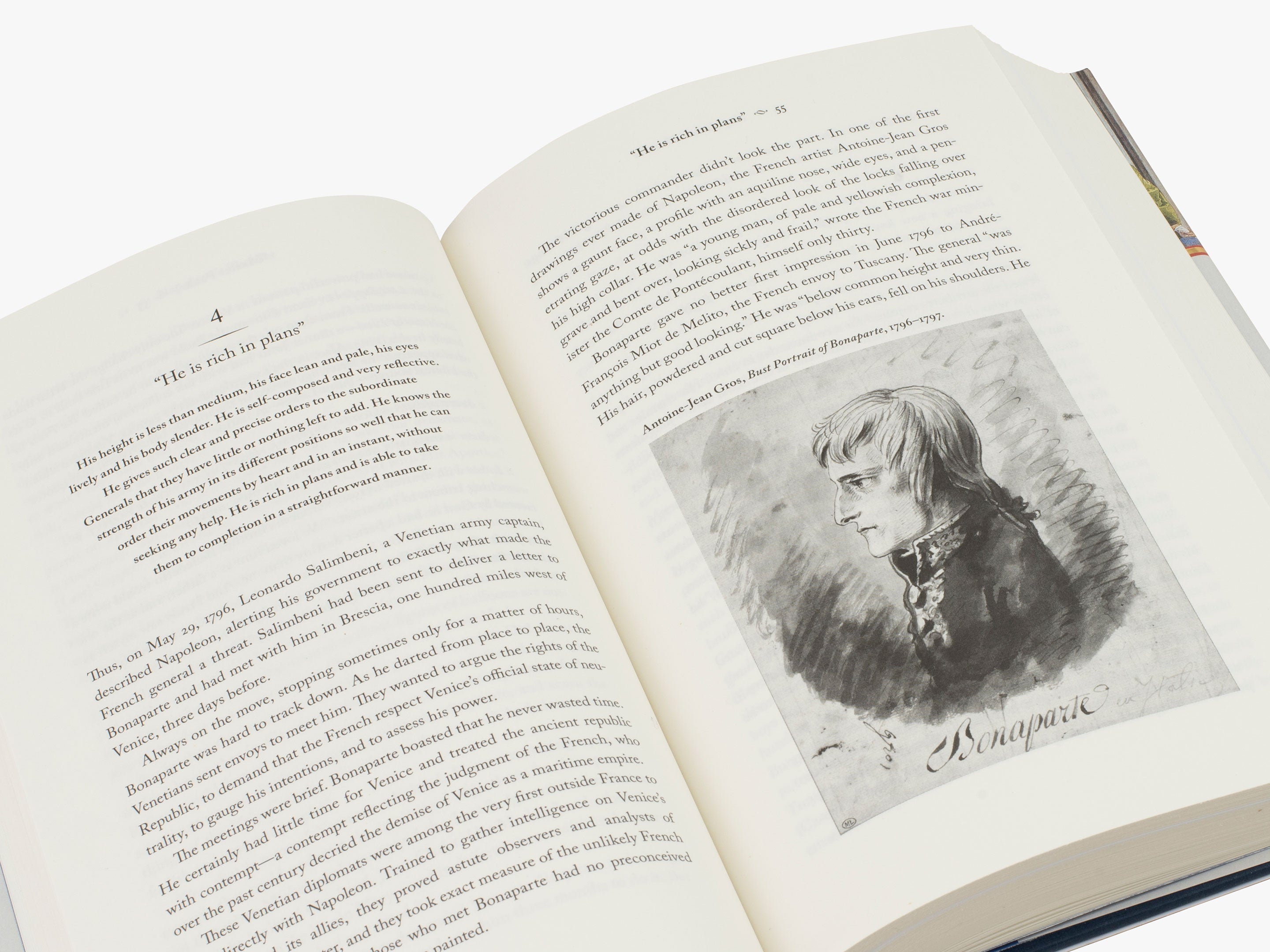 Napoleon's Plunder: The Theft of Veronese's Feast - Historical Art Theft Book for Art Lovers & History Enthusiasts - Perfect for Book Clubs & Academic Studies