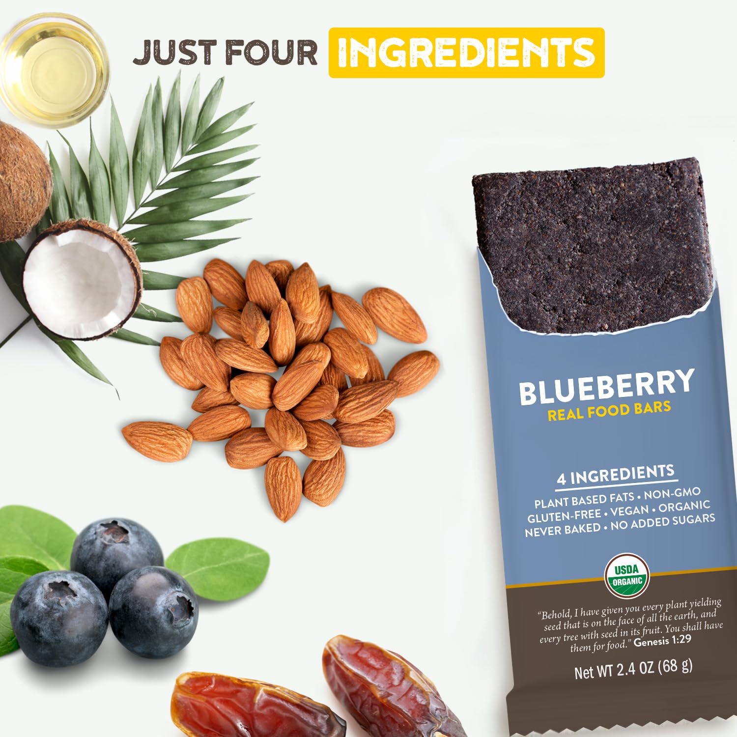 Organic Blueberry Protein Bars - Vegan, Gluten-Free, Non-GMO, Low Sugar Snacks | Plant-Based Real Food Bar for Energy & Recovery | Perfect for Hiking, Workouts & Healthy On-the-Go Snacking