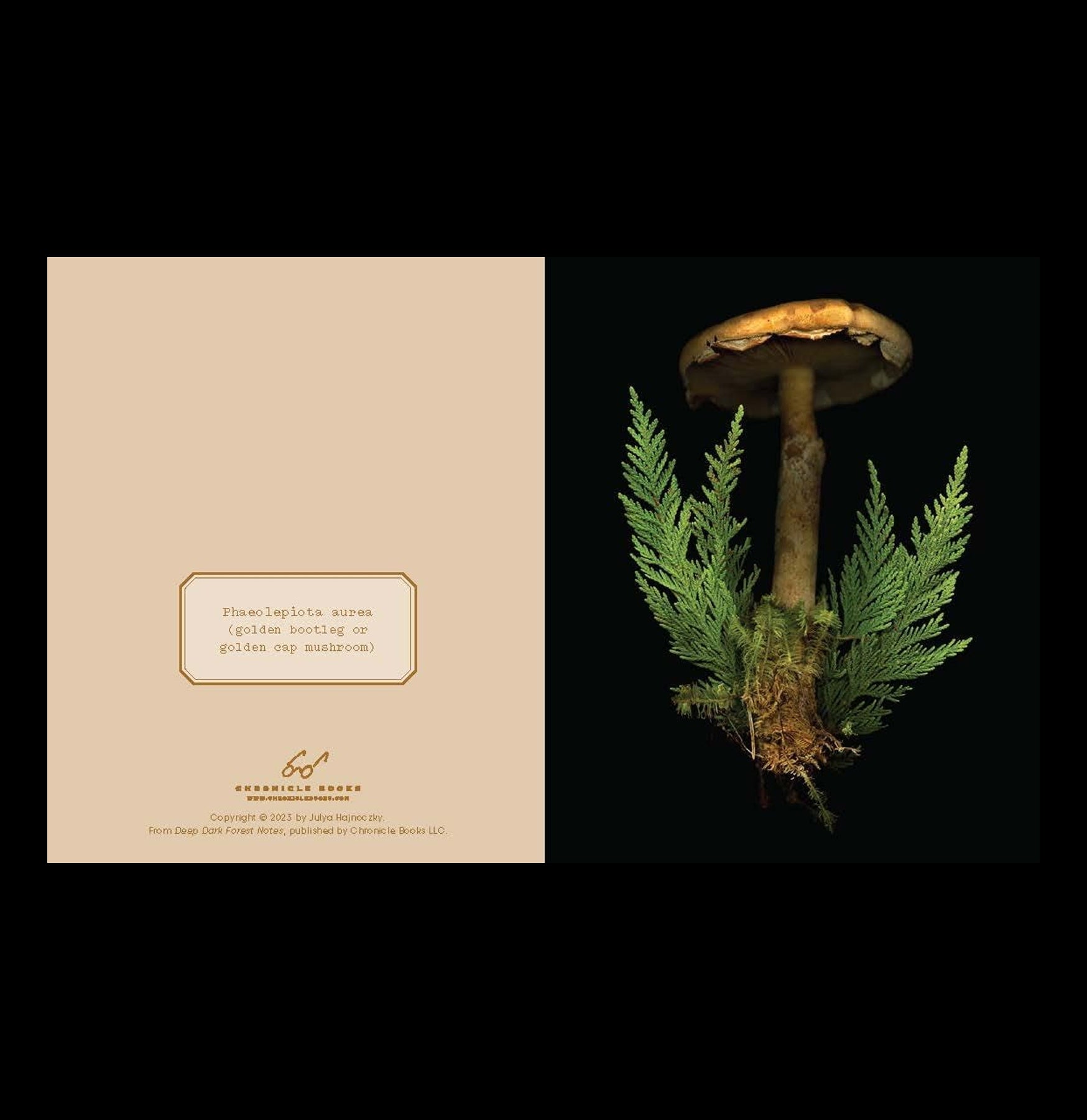 Deep Dark Forest Mushroom Notecards - Handmade Botanical Greeting Cards for Nature Lovers | Perfect for Thank You Notes, Birthday Cards & Wedding Invitations